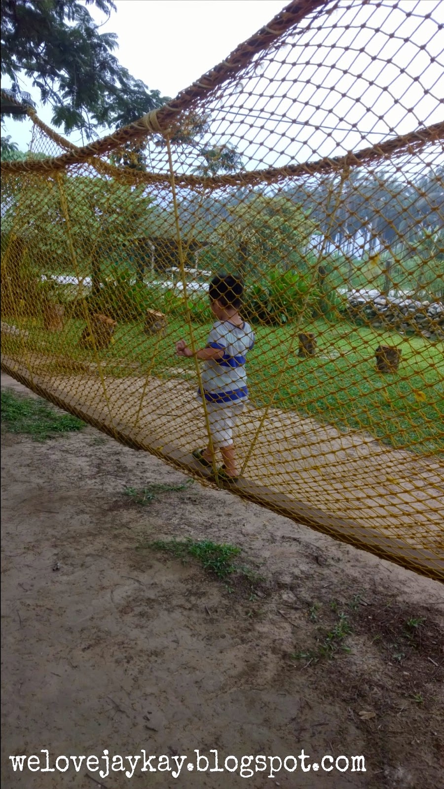 Broga Rabbit Fun Land (Rabbit Farm in Semenyih, Malaysia) 马来西亚兔子乐园